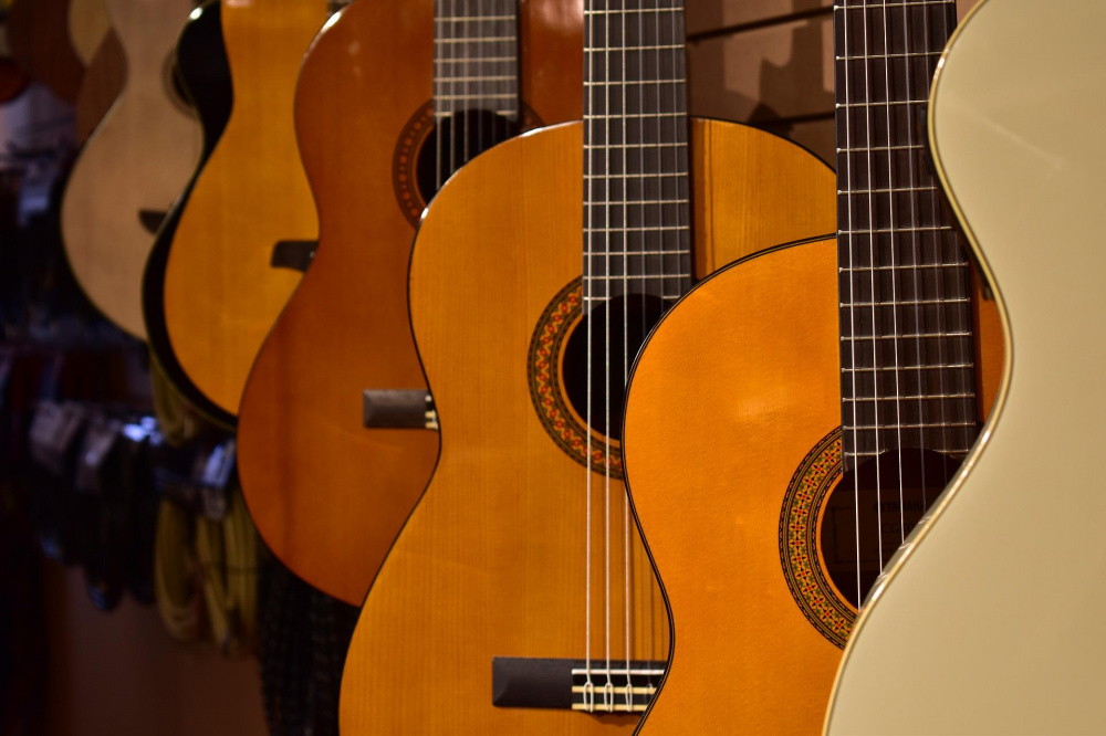 Как выбрать акустическую гитару для начинающего | A&T Trade