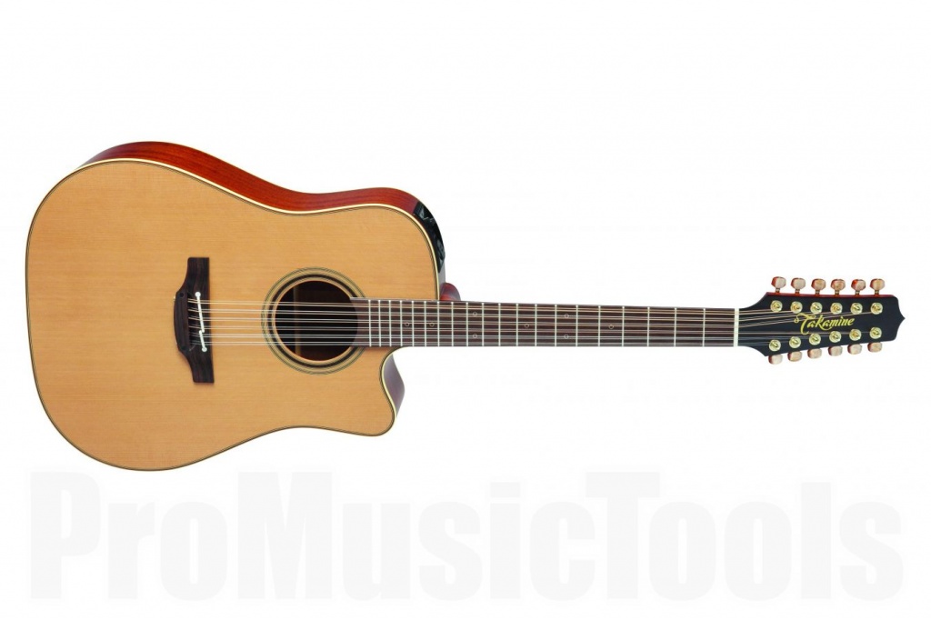 takamine_p3dc-12.jpeg