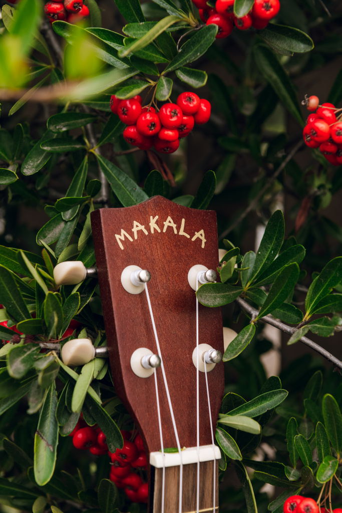Makala_berries-9947 (1).jpg
