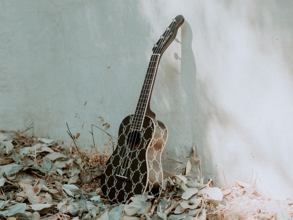 Fender_BillieEilish_SigUkes_Lifestyle_6720.jpg