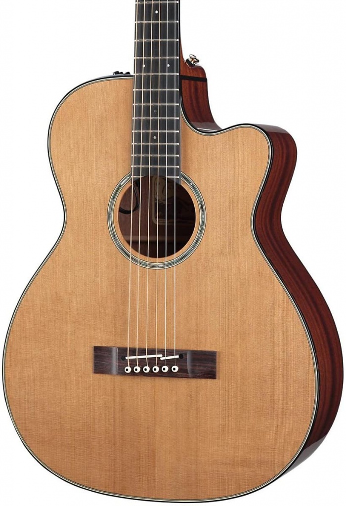 Takamine TF740.jpg