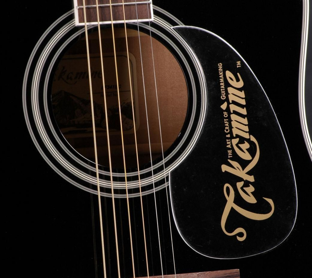 Takamine 3.jpg